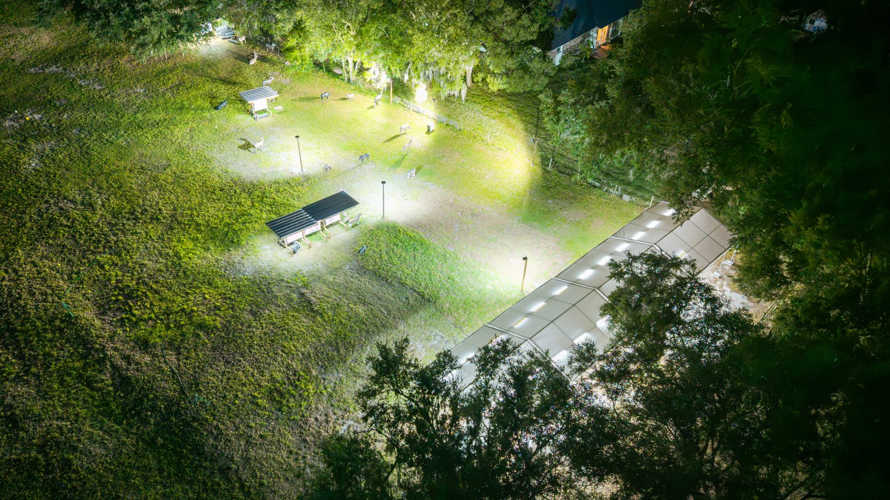 Sarasota Archery Academy practice range at evening team training session in Sarasota, Florida